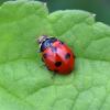 358044 – Photo : Mathurin CARNET – France (58)